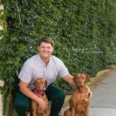pet portraits lansing
