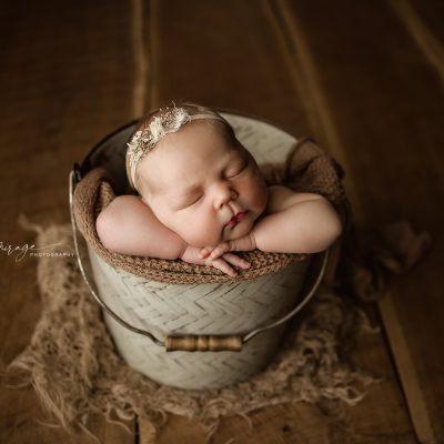 newborn photography lansing mi