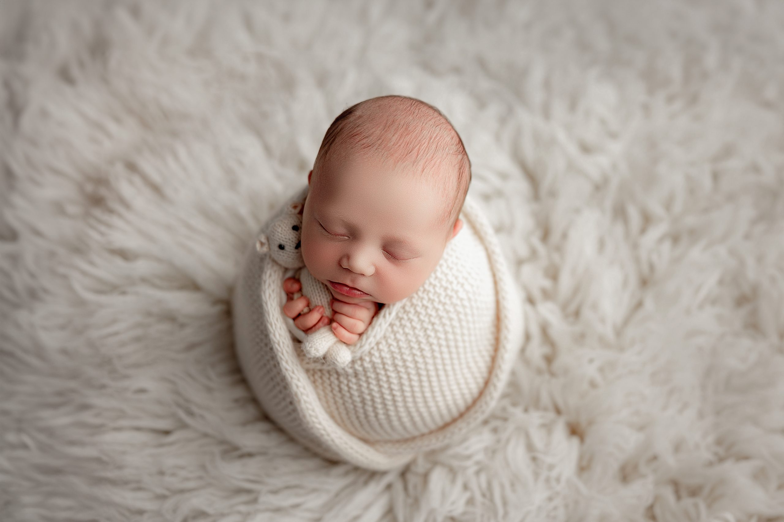 Newborn photographer in Fowlerville Michigan