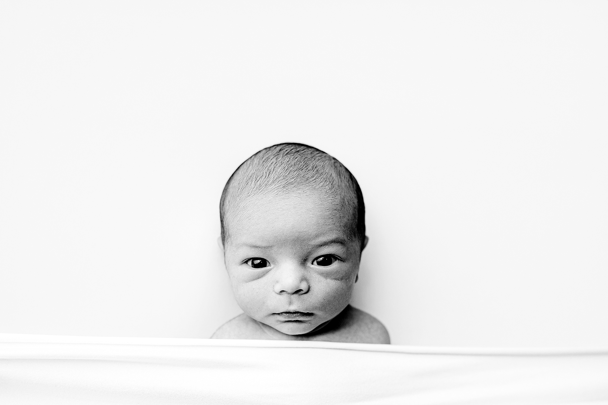 Modern newborn photography in Fowlerville Michigan studio